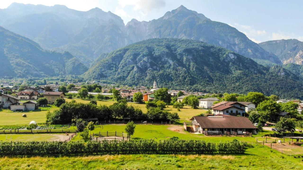 Agritur Airone Bed & Camping Levico Terme Esterno foto