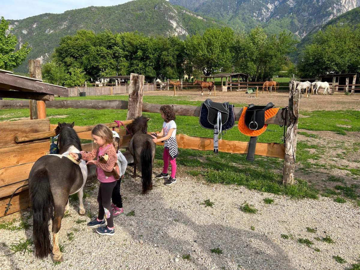 Agritur Airone Bed & Camping Levico Terme Esterno foto