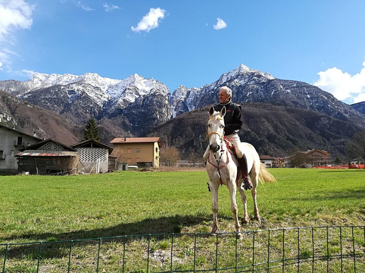 Agritur Airone Bed & Camping Levico Terme Esterno foto