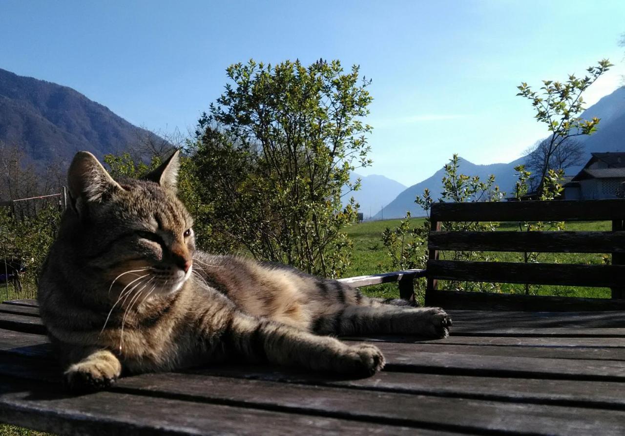 Agritur Airone Bed & Camping Levico Terme Esterno foto