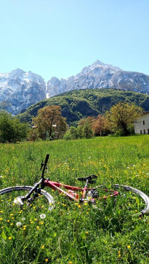 Agritur Airone Bed & Camping Levico Terme Esterno foto