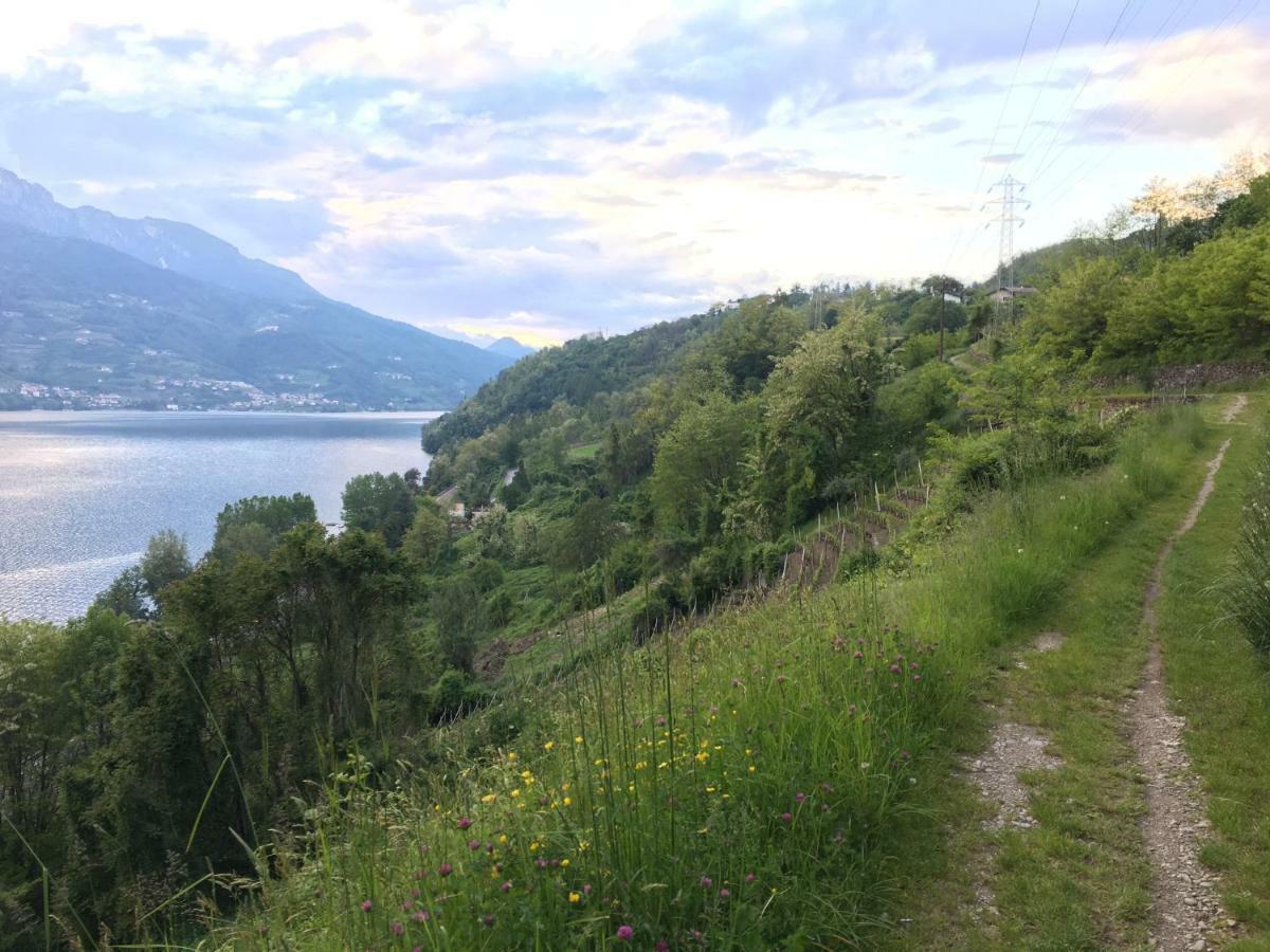 Agritur Airone Bed & Camping Levico Terme Esterno foto