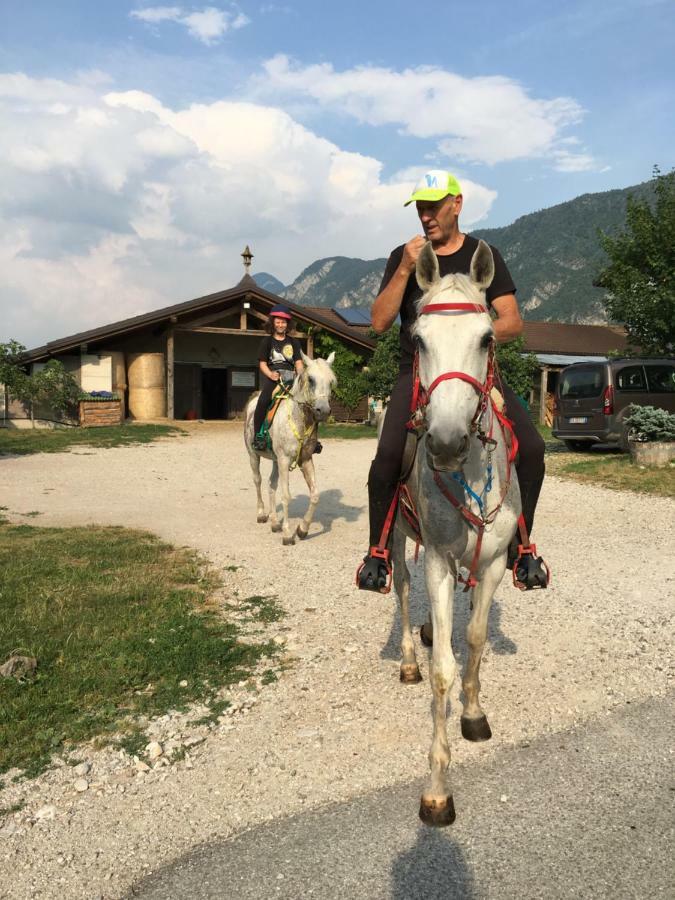 Agritur Airone Bed & Camping Levico Terme Esterno foto