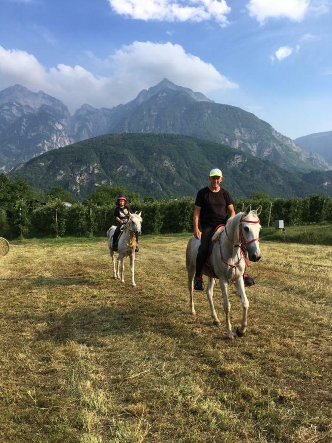 Agritur Airone Bed & Camping Levico Terme Esterno foto